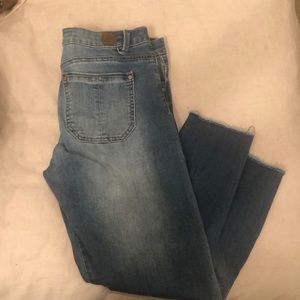 Wit and Wisdom Skinny jeans